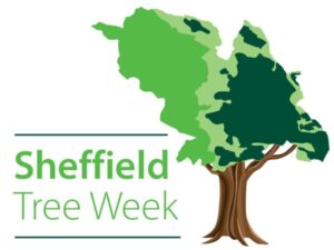 Read more about the article Woodland Wanders with Sheffield Woodland Connections for Sheffield Tree Week