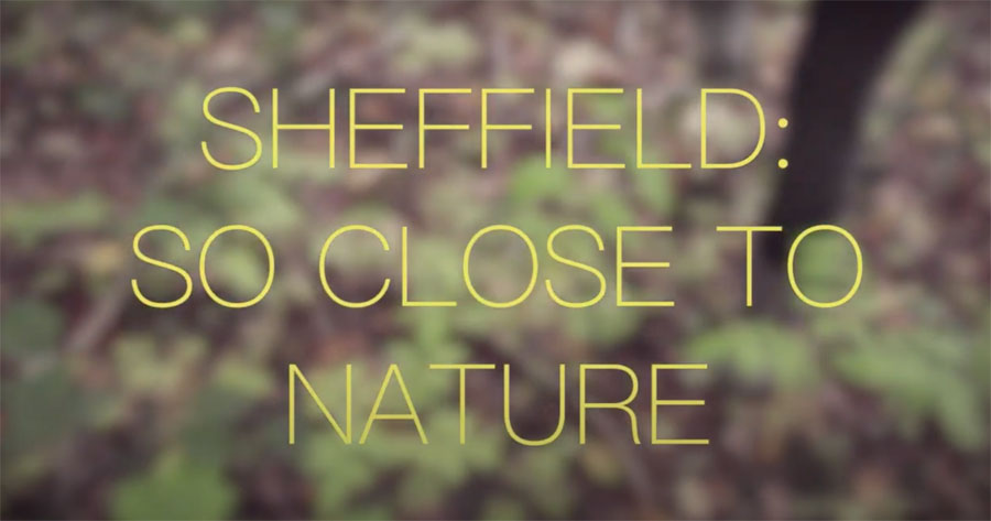 You are currently viewing Sheffield: so close to nature